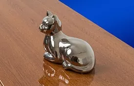 Золотой дуб глянец
